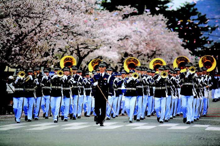 韓國櫻花季