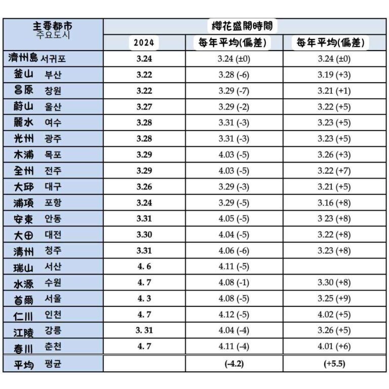 韓國櫻花季