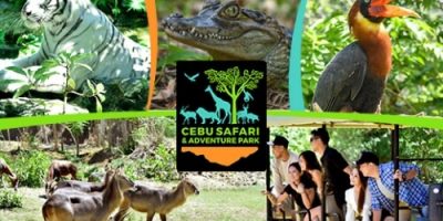 Cebu Safari1